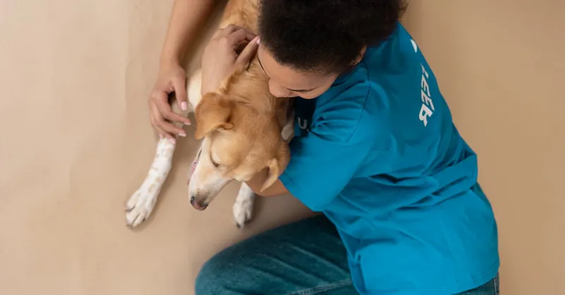 A heartwarming moment of a person wearing a blue shirt hugging a dog, showing companionship and affection.